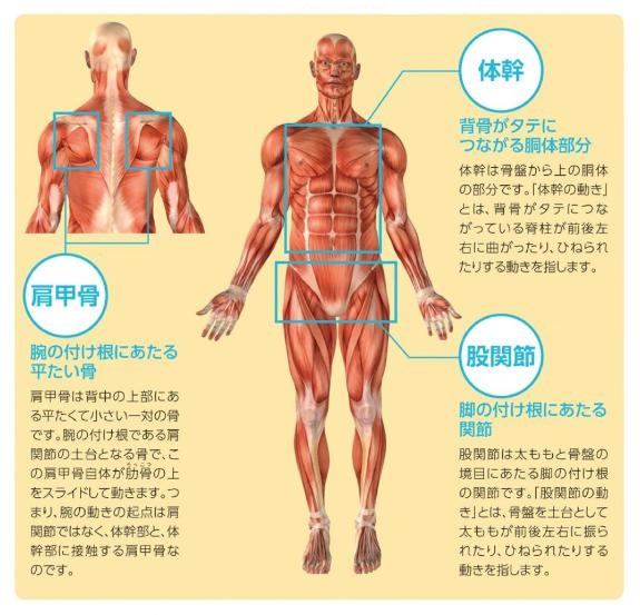 東御市,上田市,小諸市,整体,指圧,ほぐしや,マッサージ,コアストレッチ