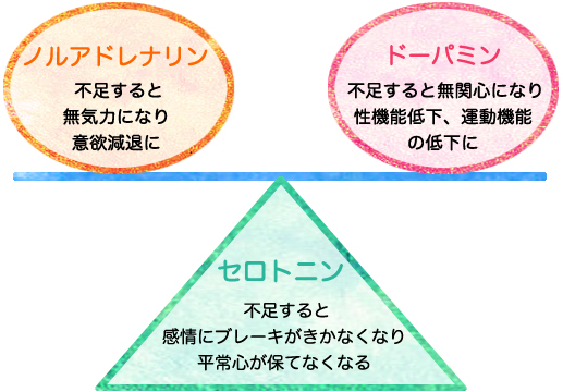 東御市,上田市,小諸市,整体,指圧,ほぐしや,マッサージ,幸せホルモン「セロトニン」