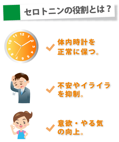 東御市,上田市,小諸市,整体,指圧,ほぐしや,マッサージ,幸せホルモン「セロトニン」