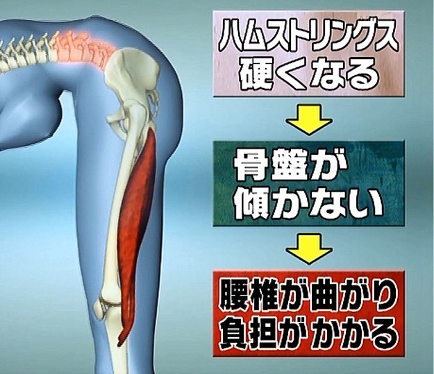 東御,整体,頭痛,肩こり,腰痛,指圧,経絡,筋膜リリース,マッサージ,180度開脚