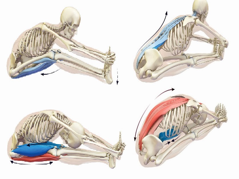 東御市,上田市,小諸市,整体,指圧,ほぐしや,マッサージ,長座丹田呼吸エクササイズ