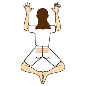 東御市,上田市,小諸市,整体,指圧,ほぐしや,マッサージ,ひめトレ,恥骨体操