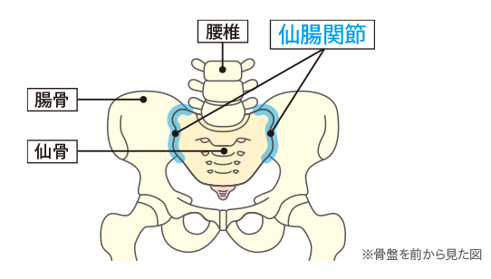 東御市,上田市,小諸市,整体,指圧,ほぐしや,仙腸関節は動かない?