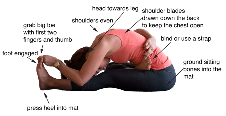 上田,東御,整体,指圧,ほぐしや,ヨガ,半蓮華座の背面を伸ばすポーズ (アルダ・バッダ・パドマ・パシュチモッターナ・アーサナ)