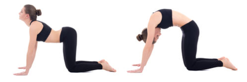 東御市,上田市,小諸市,整体,指圧,ほぐしや,腰痛に効果的なトレーニングとストレッチ