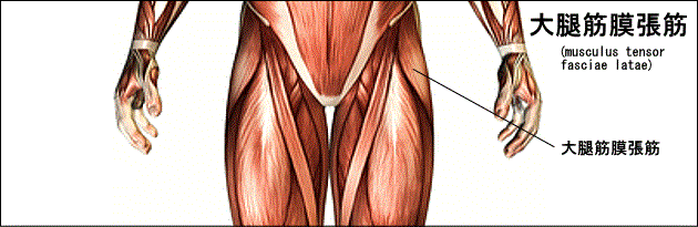 東御市,上田市,小諸市,整体,指圧,ほぐしや,マッサージ,なぜお医者さんに行っても腰痛は治らないのか?