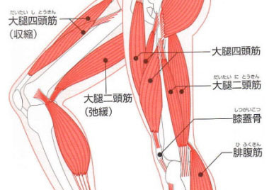 東御市,上田市,小諸市,整体,指圧,ほぐしや,指圧,整体