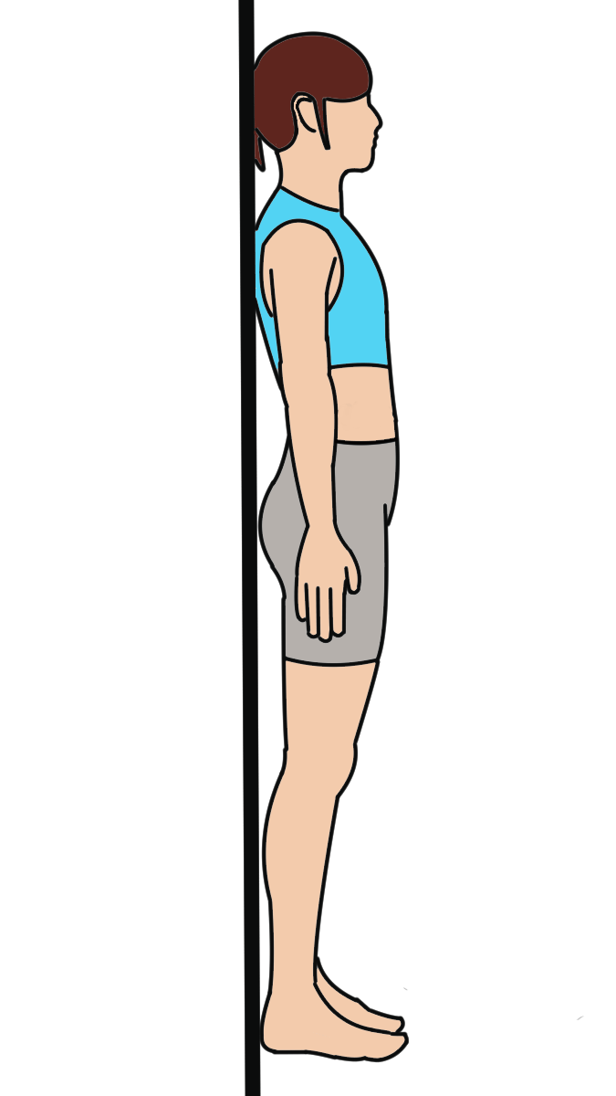 東御市,上田市,小諸市,整体,指圧,ほぐしや,正しい姿勢は抗重力筋から