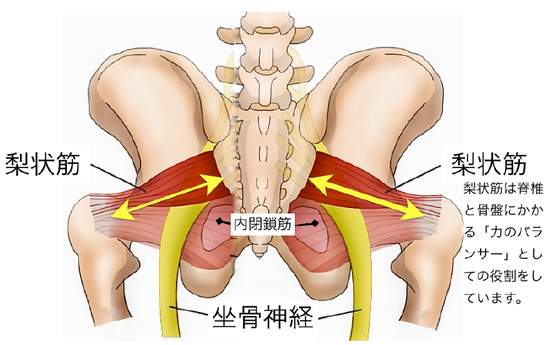東御市,上田市,小諸市,整体,指圧,ほぐしや,指圧,整体