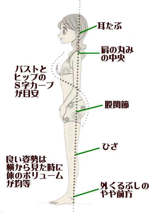 東御市,上田市,小諸市,整体,指圧,ほぐしや,正しい姿勢は抗重力筋から