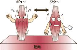 上田,東御,整体,指圧,ほぐしや,筋弛緩ヨガ