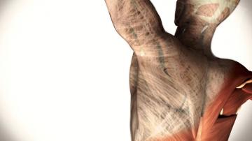 東御市,上田市,小諸市,整体,指圧,ほぐしや,マッサージ,筋膜リリース・ストレッチ