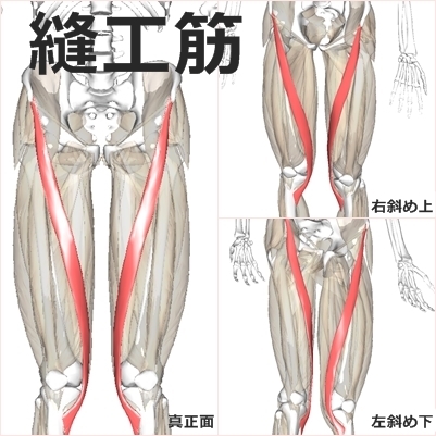 東御市,上田市,小諸市,整体,指圧,ほぐしや,膝痛ストレッチ