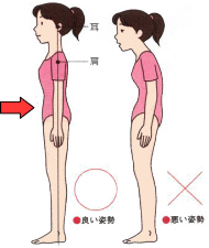 東御市,上田市,小諸市,整体,指圧,ほぐしや,正しい姿勢は抗重力筋から