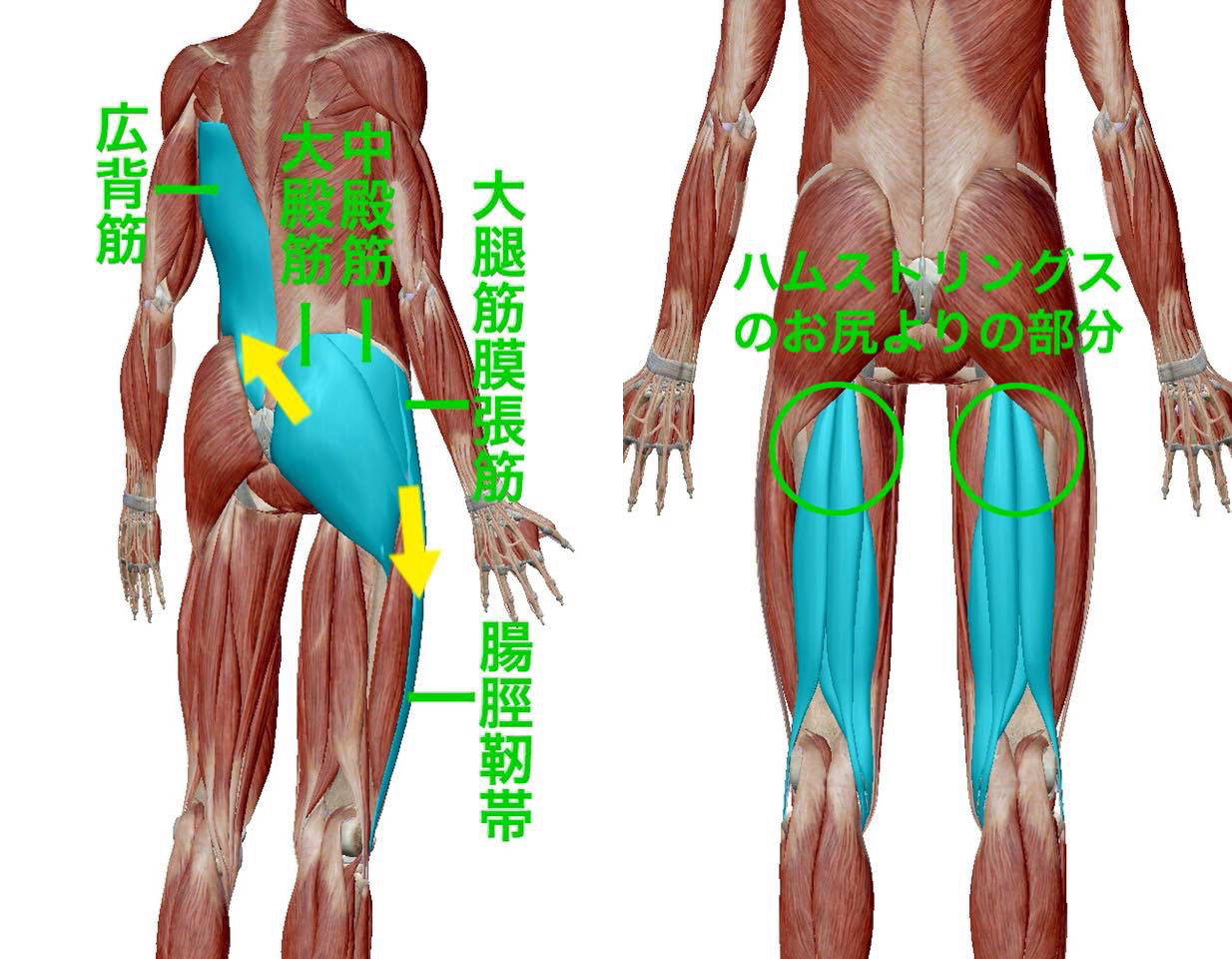 東御市,上田市,小諸市,整体,指圧,ほぐしや,脇をほぐせば膝痛も緩和される