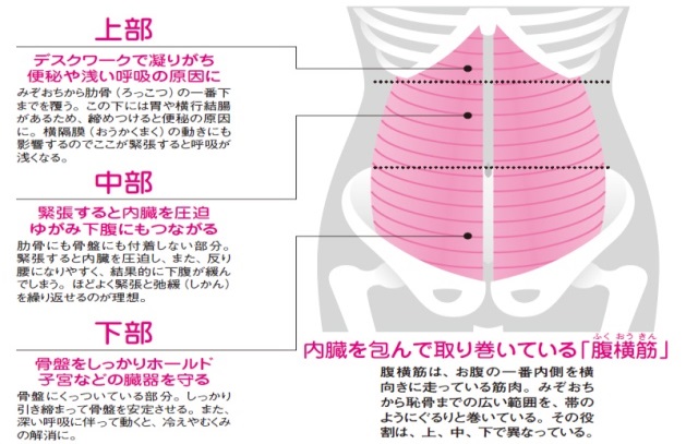 東御市,上田市,小諸市,整体,指圧,ほぐしや,マッサージ,猫背,腰痛