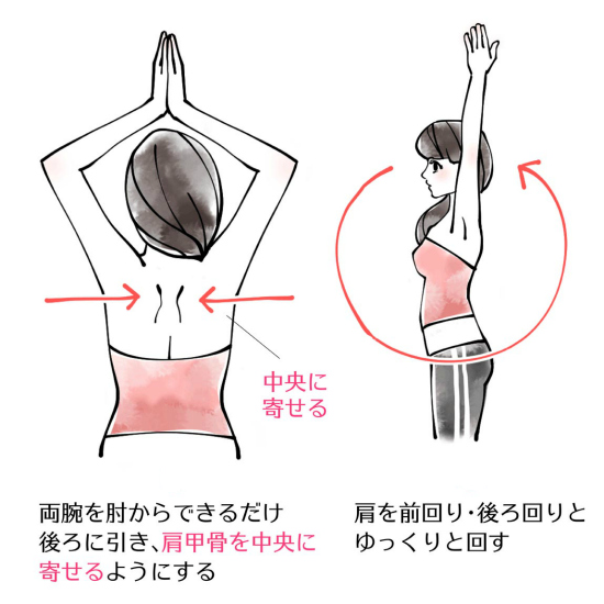 東御市,上田市,小諸市,整体,指圧,ほぐしや,褐色脂肪細胞