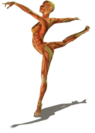 東御市,上田市,小諸市,整体,指圧,ほぐしや,マッサージ,怪我をよくするダンサーとそうでないダンサーの決定的な違いとは?