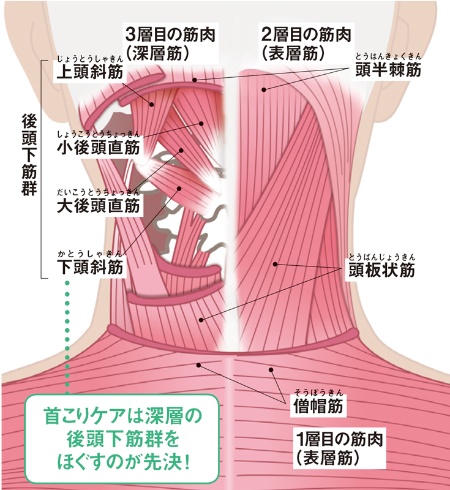 東御市,上田市,小諸市,整体,指圧,ほぐしや,首の体操