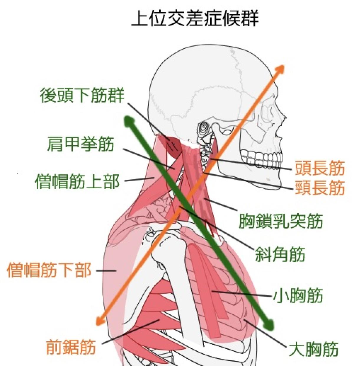 東御市,上田市,小諸市,整体,指圧,ほぐしや,首の体操