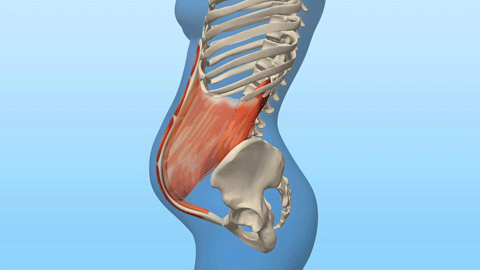 東御市,上田市,小諸市,整体,指圧,ほぐしや産後の骨盤矯正